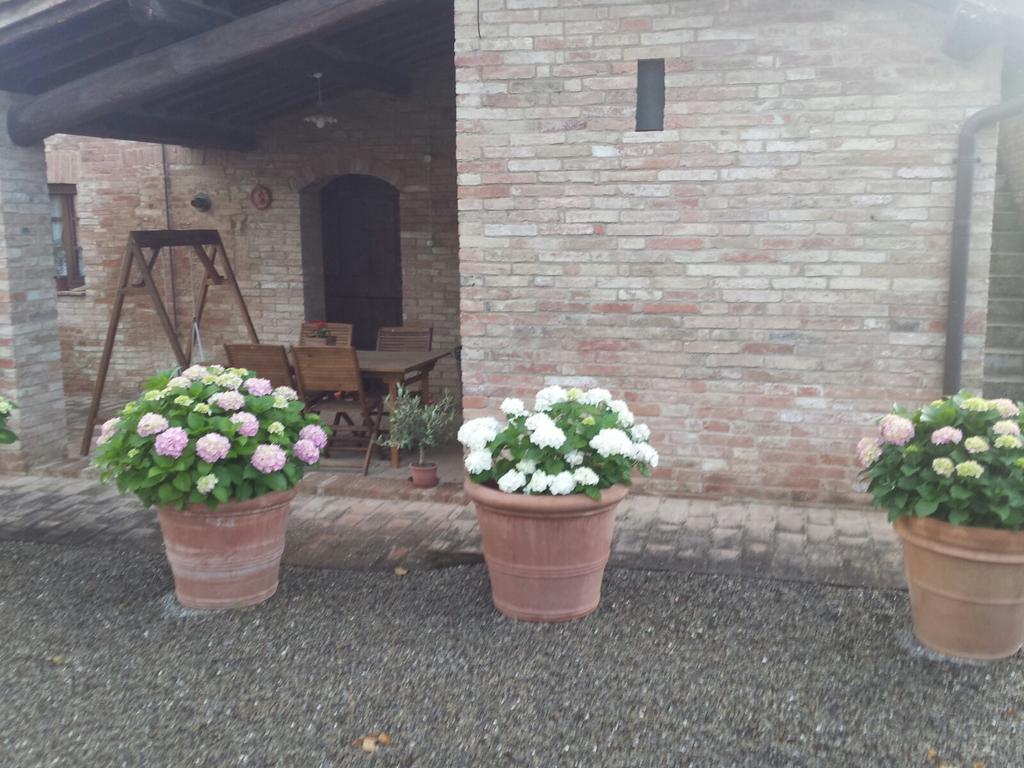 Agriturismo San Pierino Монтерони-д'Арбия Экстерьер фото